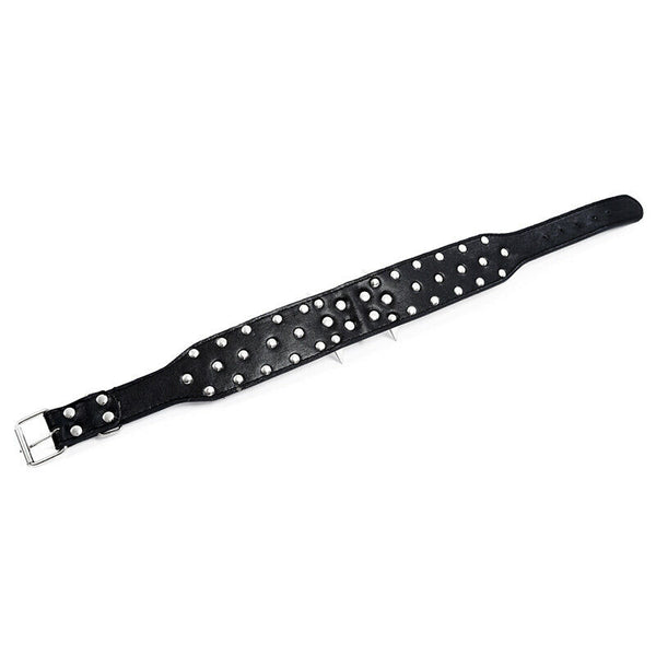 Dog Collars 2 Feet Wide For Pit Bulldog Boxer Doberman