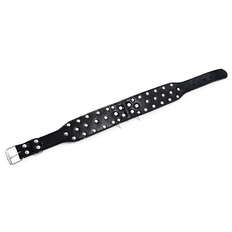 Dog Collars 2 Feet Wide For Pit Bulldog Boxer Doberman