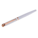 2pcs Metal Refillable Fountain Pen Ink Pen Drawing Writing Calligraphy Pen