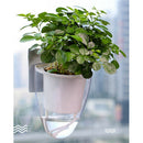 2x Wall Hanging Self-watering Plant Flower Pot Plastic Planter with Trackless