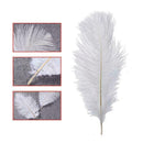 1Pcs DIY White Natural Ostrich Feathers Decoration Wedding Party Decor New R4S7