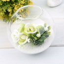 1Pc High Glass Hanging Flower Planter Vase Terrarium Container Home Garden