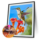 5D DIY Full Drill Diamond Painting Happy Bird Cross Stitch Craft (B1057)