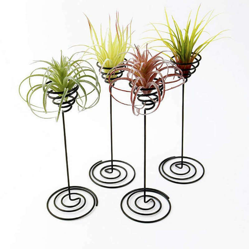 Air Plant Stand Holder Air Plant Base Container Tabletop Planter Tillandsia