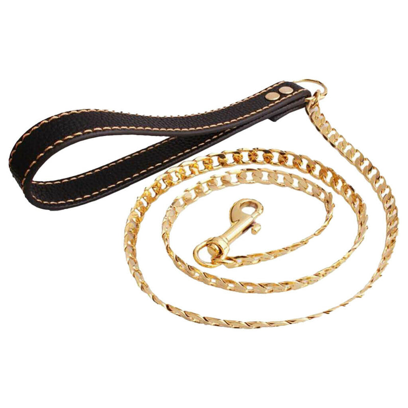 Durable Stainless Steel Dog Cat Dog Chain Leash for Dog Outdoor Training