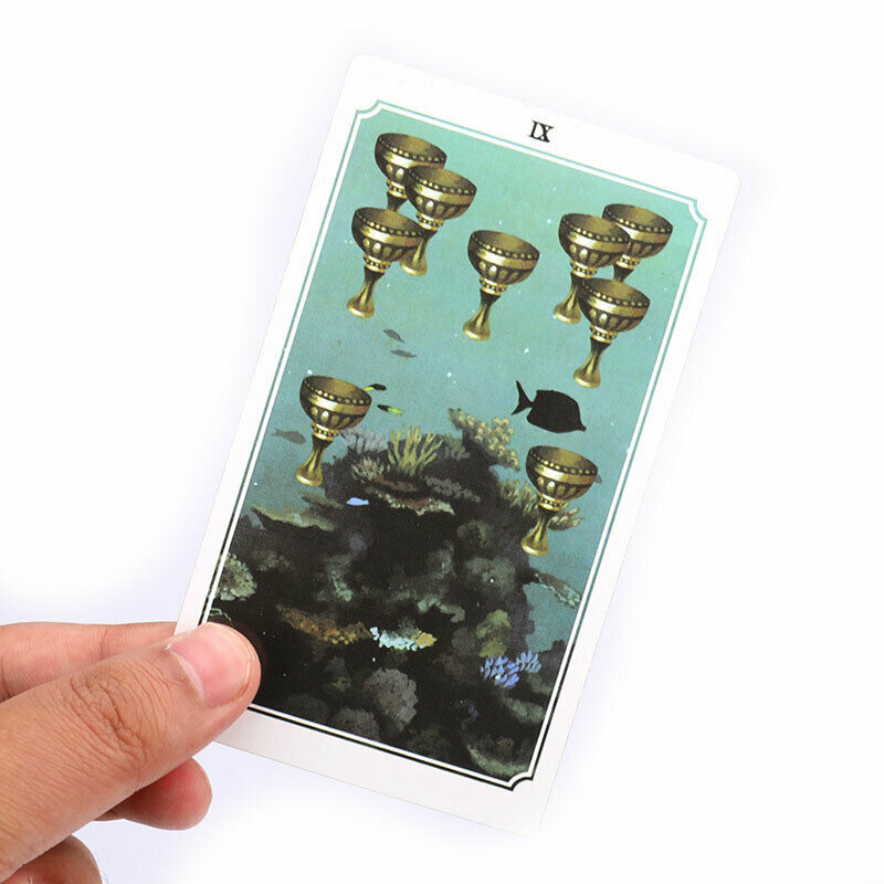 Anima Mundi Tarot Deck 78 Card Deck with Guide Book Nature Deck OccultSEAU