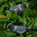 2 Pigeon Bird Decoy Hunting Bait Pest Control Repeller Yard Scarer Scarecrow