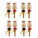 Mini Amplifier Terminal