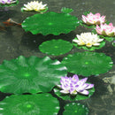 Pack Of 9 Artificial Floating Foam Lotus Leaves Water Lily Pads Ornaments MO