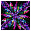 5D DIY Full Drill Diamond Painting Colorful Flower Cross Stitch Embroidery