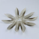 50pcs Mallard Wild Duck Natural Feather for DIY Jewelry Decor Crafts 8-12cm