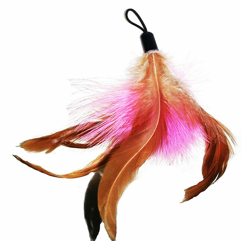 2pcs Kitten Play Teaser Cat Wand Replacement Head Interactive Feather_Bell O2T1