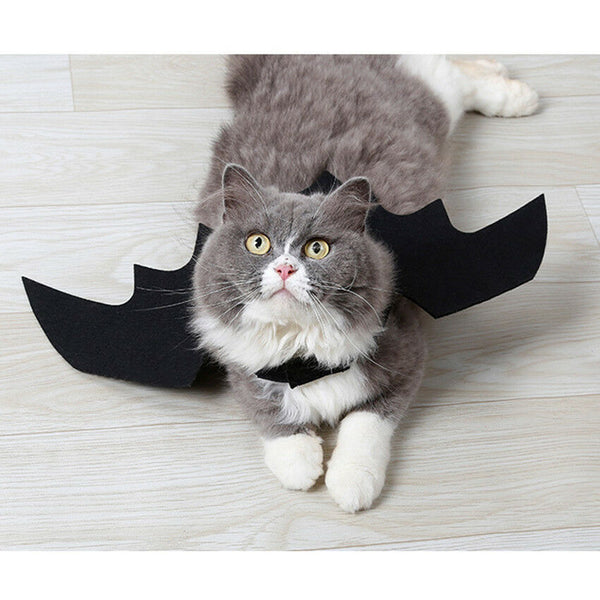 Animal Pet Dog Cat Bat Vampire Halloween Black Fancy Dress Costume Outfit Wings