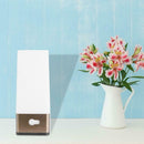 Smart LED Night Cabinet Light Body Induction Hotel Corridor Emergency Lamp