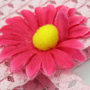 Nice Charm Princess Girl Straw Hat and Flower decoration Handbag (Pink) A6G2