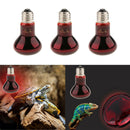 3 Pcs E27 Base Reptile Terrarium UVA Infrared Heat Light Bulb Nightlight 75W