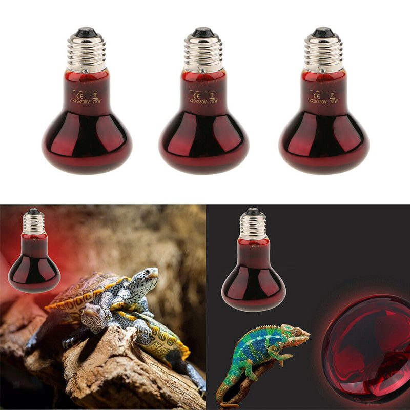 3 Pcs E27 Base Reptile Terrarium UVA Infrared Heat Light Bulb Nightlight 75W