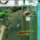 Aquarium/Fish Tank Holder Aquatic Plant Acrylic Cup Pet Pot Container Suppl U0H3