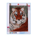 Tiger  5D Diamond DIY Painting  Kit Home Decor Craft(30 X 40cm)
