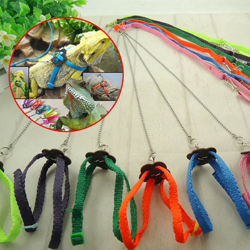 2pcs Small Animals Reptile Lizard Adjustable Harness Leash Hauling Rope
