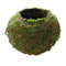 10Pcs Green Artificial Moss Balls Decorative Planters, Ideal for Vases, Table