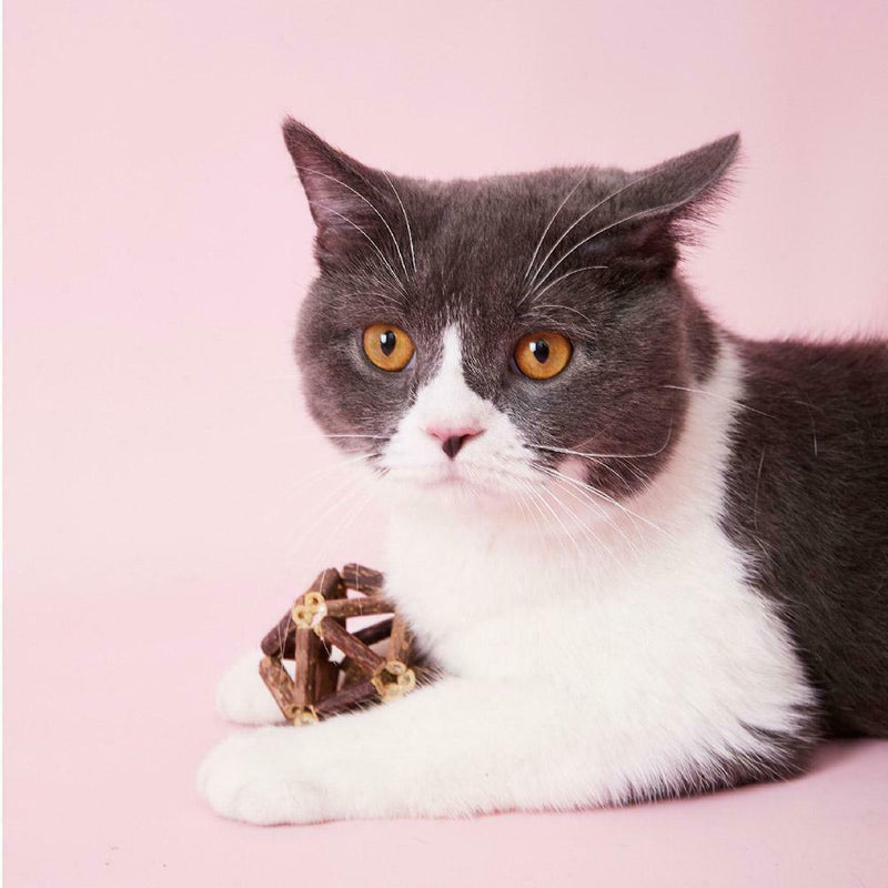 Cat Natural Silvervine Ball Kitten Cleaning Teeth Molar Toothpaste Toys