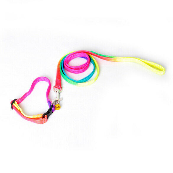 Strengthen Colorful Pets Puppy Lead Harness Leash Traction Rope Nylon