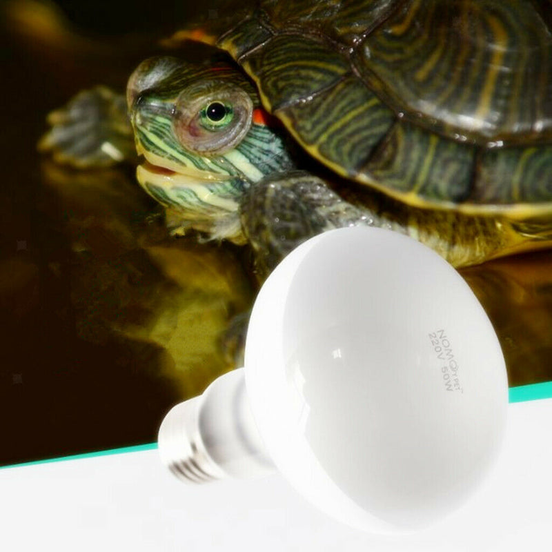 Reptile Daylight Basking Spot Lamp Heat Lighting Bulb Sun Light 50W