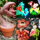 100pcs Mixed Succulent Seeds Stone Bonsai Flower Seed Garden Pot Plants
