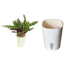 Lazy Flowerpot Self Watering Planter Flower Pot Home Garden Balcony Decor S