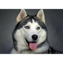 5D Diamond Painting Full Drill Dog DIY Cross Stitch Animal Pictures (WB016)