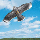 Black Eagle Kite With 30m Kite Handle Line Outdoor Sports Toys Flying Kites M1B5