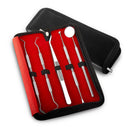 5pcs DENTAL SET DENTAL CLEANING TOOTHPIECE DENTAL END DENTAL MIRR_
