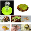 Pet Reptile Tortoise Water Drinker Dispenser Bottle Auto Fountain Feeder