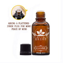 Ginger Essential Oil Pure Natural  Uncut Therapeutic Grade Oils Plant NEW UYZ