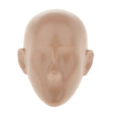 1/6 Scale Plastic Mannequins Head Sculpture Modes for 12inch Action Figures