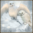 5D DIY Full Drill Diamond Painting Bird Animal Cross Stitch Embroidery Kits