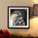 Cat 5D DIY Round Diamond Painting Embroidery Cross Stitch Mosaic Home Decor