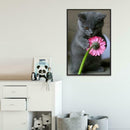 5D DIY Full Drill Diamond Painting Cat Cross Stitch Embroidery Mosaic Kit