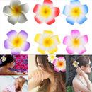 Beach Hawaii Ladies Egg Flower Hair Clip Luau Party Hairpin Headdress CTC