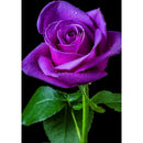 DIY Diamond Embroidery Purple Rose Diamond Painting Cross Stitch Full Round