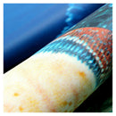 180x180cm Tropical Beach Sea Dolphin Fish Ocean Color Shower Curtain with H