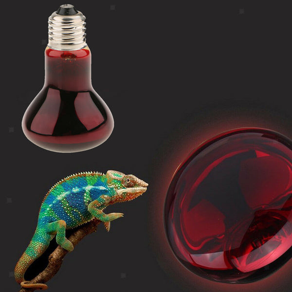 2x Reptile Terrarium UVA Heat Lamp Night-time Viewing Lighting 50W E27 Base