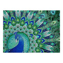 5D DIY Special Shaped Diamond Painting Peafowl Cross Stitch Embroidery Kits