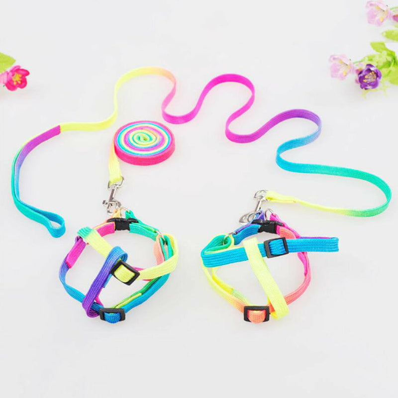 Pet Dog Running Traction Rope Dual Handle Pet supplies Leash Lead Strap