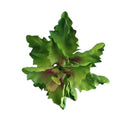 Artificial Sedum Succulent Bunch Big Leaf Foliage Plant Garden Decor Green