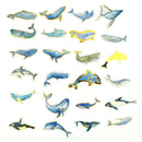 24Pcs Island Whales Hand Account Stickers DIY Scrapbook Label Decoration BX