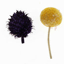 Dried Flowers Natural Flowers for Candle Making Soap Making DIY Bath Making Kit