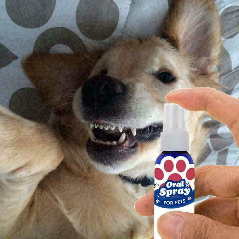 Care Oral Hygiene Non-toxic Teeth Cleaner Mouthwash Pet New Breath Oral Fre O0Z5