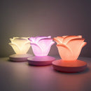 Rose Usb Rechargeable Led Desk Table Lamp Adjustable Intensity Reading Ligh